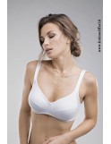 REGGISENO SPIMAN